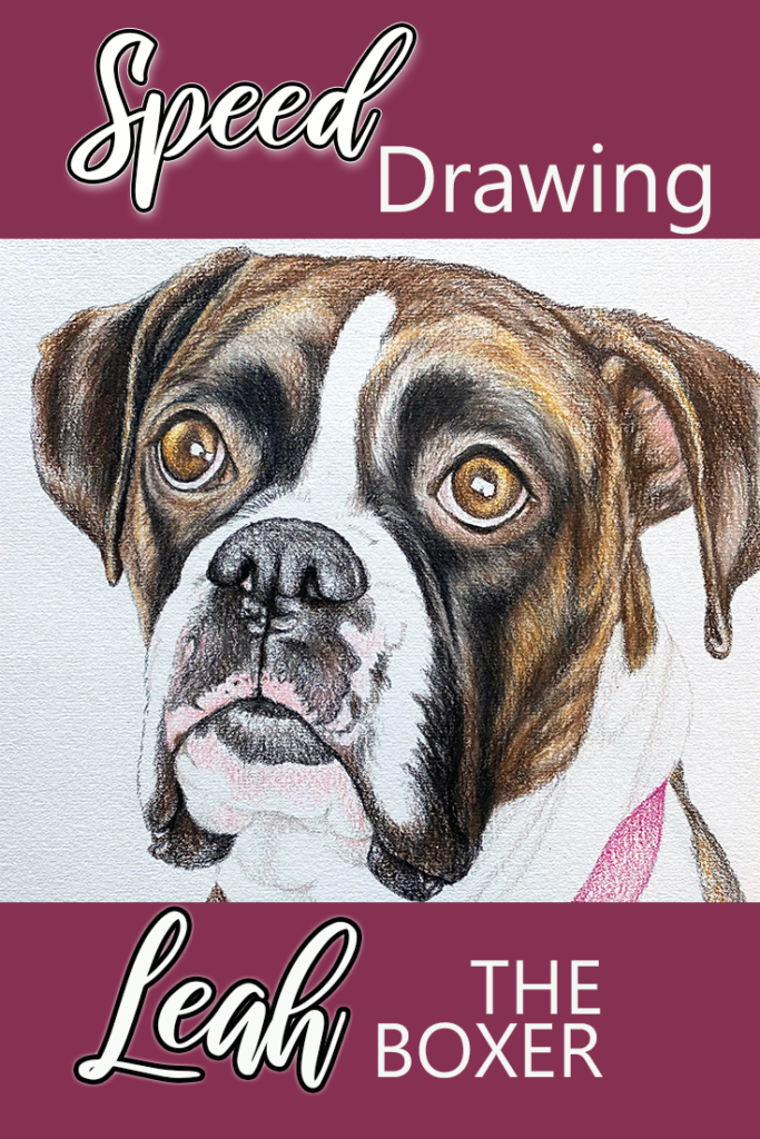 Watch this brindle Boxer Dog come to life under the hands of a talented artist.