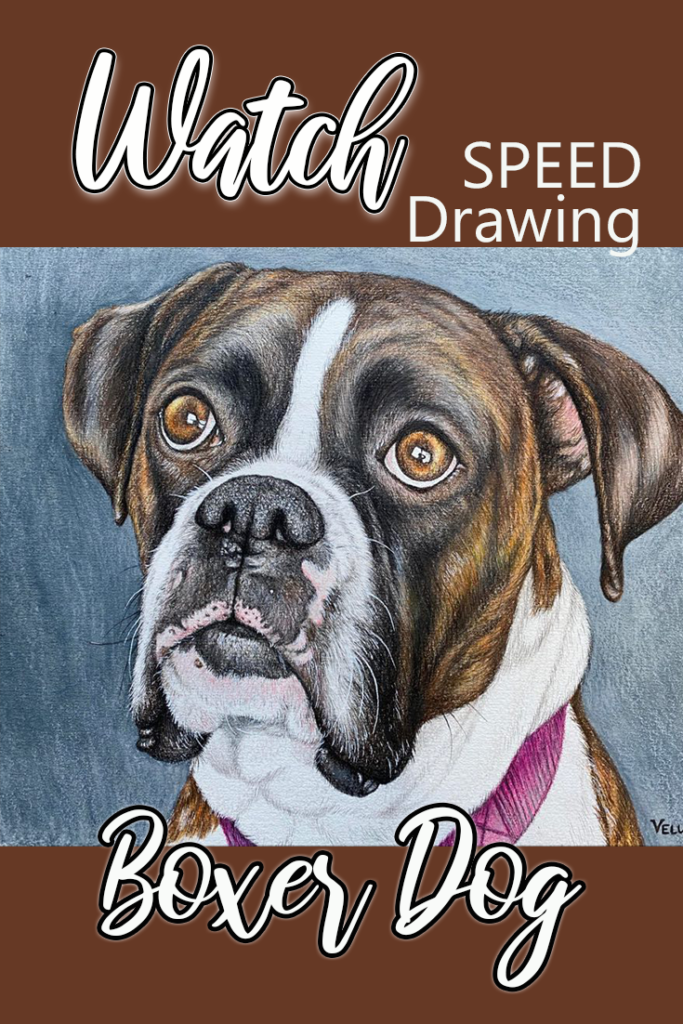 Is it a drawing or a photo? Only an incredible artist can put this much detail into dog art. Victoria Chin is an extremely talented artist. She teaches art and has online art tutortials.