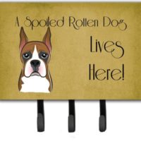 a spoiled boxer lives here leash holder