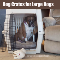 Dog crates for large dogs