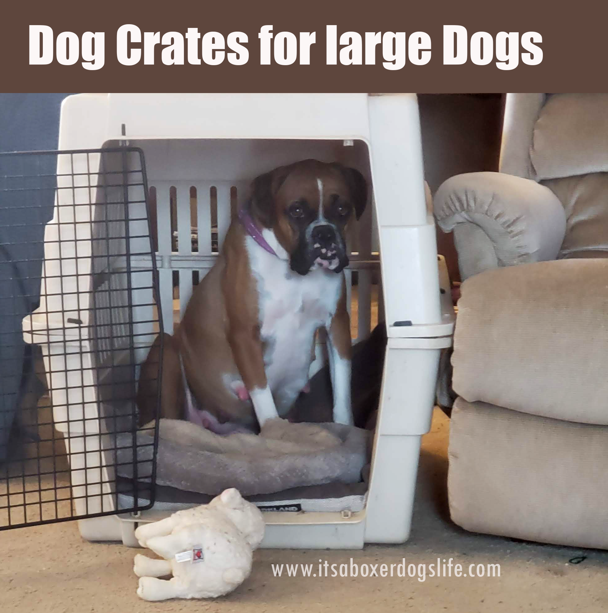 Finding the Perfect Dog Crate for Large Dogs