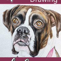 Watch this brindle Boxer Dog come to life under the hands of a talented artist.
