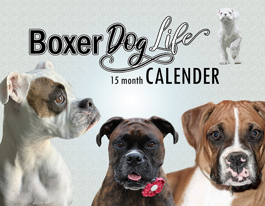 Official Boxer Dog Life Calendar