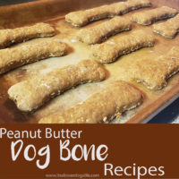 Homemade dog treats are fun to make and give to your dogs or as gift for dog lovers. Make peanut butter dog treat recipe with easy to find ingredients.